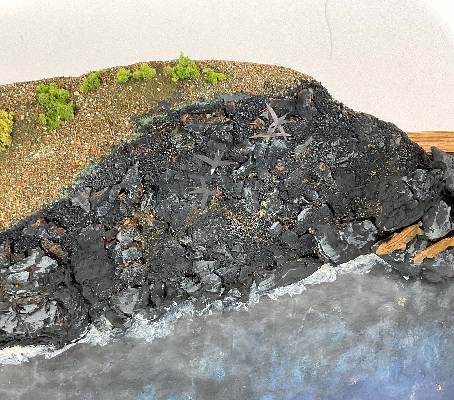 Deep Water Diorama Of The Galapagos Expedition - Lannan Gallery